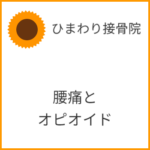 腰痛疾患にオピオイドを使用すると