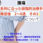 時系列に沿った段階的治療手順　発症後2～6週　その2