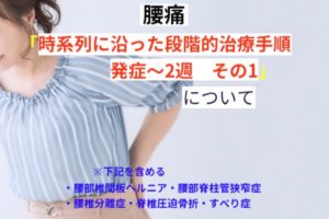 時系列に沿った段階的治療手順　発症～2週　その１