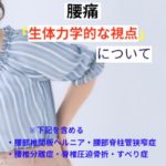 腰痛「生体力学的な視点」