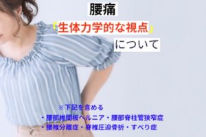 腰痛「生体力学的な視点」