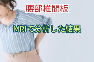 MRIで腰部椎間板を分析した結果