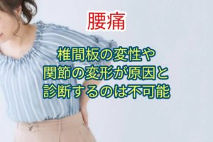 椎間関節および椎間板に起因する疼痛を臨床的に診断することは不可能