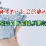 社会的疼痛と身体的疼痛は脳の同じ領域