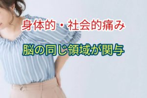 社会的疼痛と身体的疼痛は脳の同じ領域