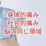 身体的痛みも社会的痛みも脳の同じ領域が関与