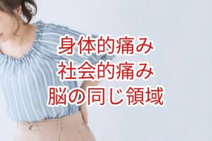 身体的痛みも社会的痛みも脳の同じ領域が関与
